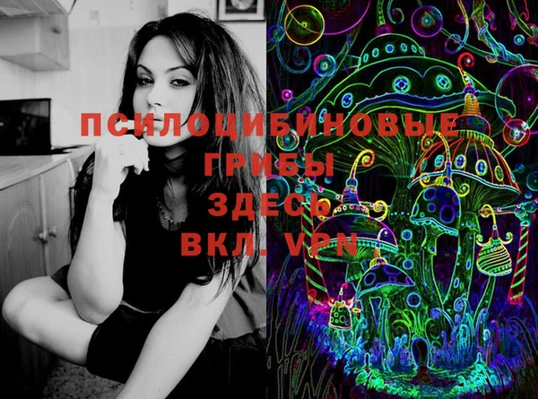 стафф Куртамыш