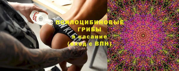 дмт Лиски
