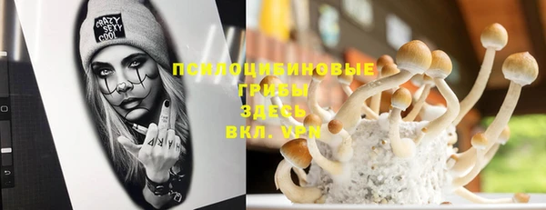 кокс Липки