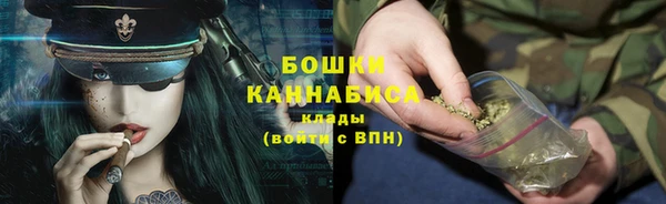 ГАЛЛЮЦИНОГЕННЫЕ ГРИБЫ Куровское