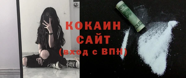 дмт Лиски