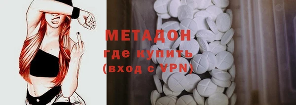 прущие грибы Крымск