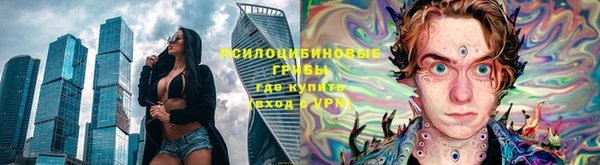 дмт Лиски