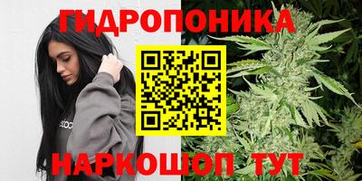 эйфоретик Дубна