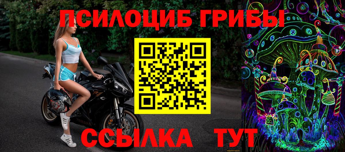 наркотики  Можга  Галлюциногенные грибы Magic Shrooms 