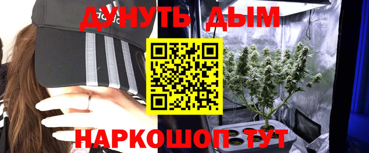 Можга  Каннабис SATIVA & INDICA  Вход с VPN  Конопля план 